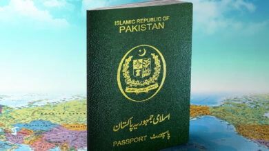 Overseas Pakistani