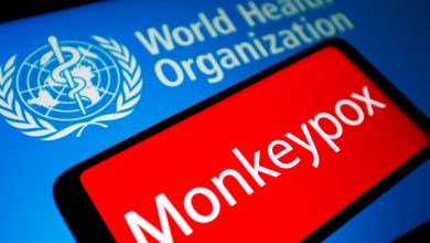 Who Declares Monkeypox A Global Health Emergency Amid Outbreak In 75 Countries 4 Who Declares Monkeypox A Global Health Emergency
