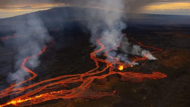 Hawaii'S Mauna Loa Volcano Erupts For The First Time Since 1984 