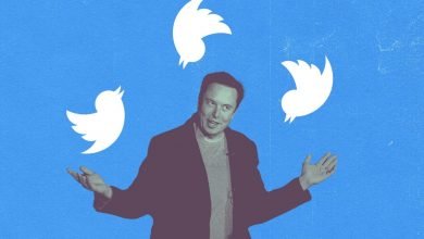 Suspended Twitter Accounts To Receive Amnesty: Elon Musk 19 Elon Musk Suspended Twitter Accounts