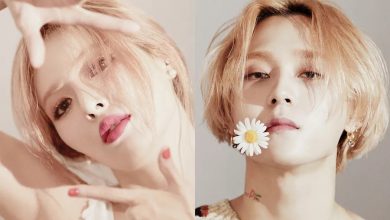 Hyuna And Dawn Break Up After 6 Years Shatter K-Pop Army 1 Hyuna Announces Breakup With Dawn
