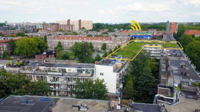 Amsterdam'S Resilio Blue Green Roofs Offer Solution To Urban Flooding, Heat Island Effect 15 Female Bullet Train Drivers