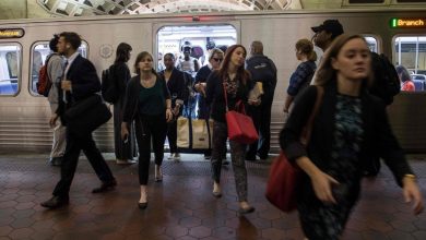 Dc Metro Buses Go Fare-Free By July 2023 17 Female Bullet Train Drivers